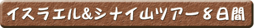イスラエル&シナイ山ツアー8日間