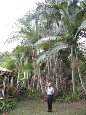 オーストラリア3