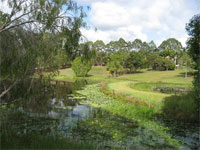 オーストラリア5