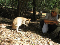 オーストラリア7