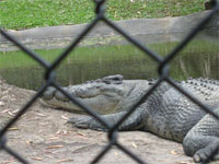 オーストラリア12