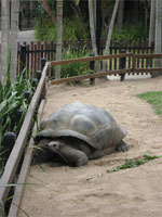 オーストラリア13