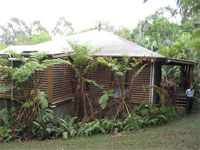 オーストラリア15