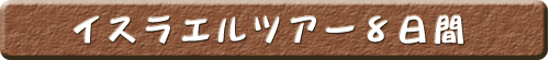 イスラエル＆シナイ山ツアー8日間