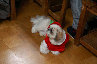 クリスマス＆年末感謝会