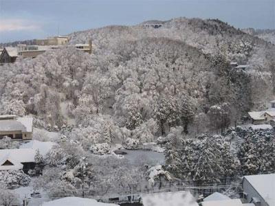 クリスマスコンサート