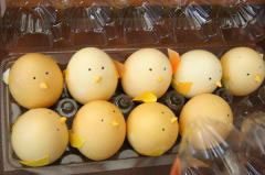 ジョイントコンサート