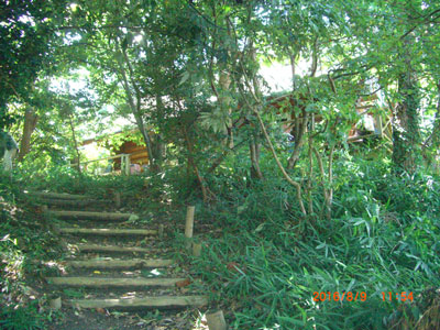 サマーキャンプ