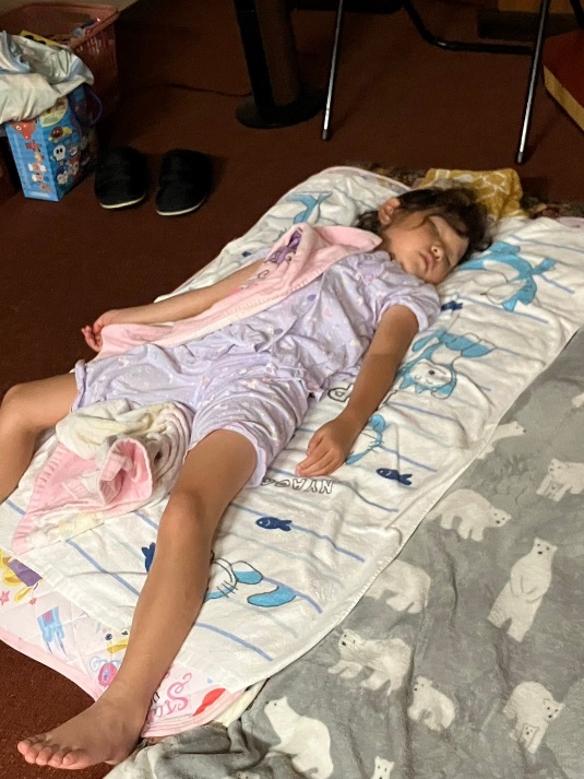 ｻﾏｰﾌｪｽﾃｨﾊﾞﾙ